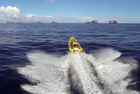 Rib boat tours in Vestmannaeyjar