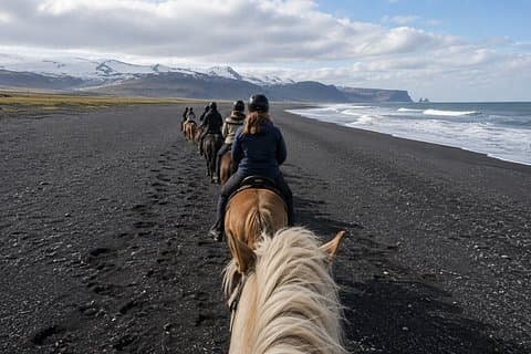 South Iceland Horseback Ride: Black Sand Beach & Glacier Views