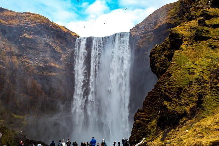 South Coast, Reynisfjara Beach & Waterfalls Small-Group Day Trip from Reykjavik