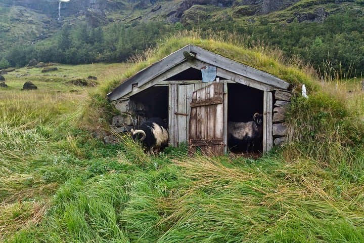 Iceland's south coast G spots