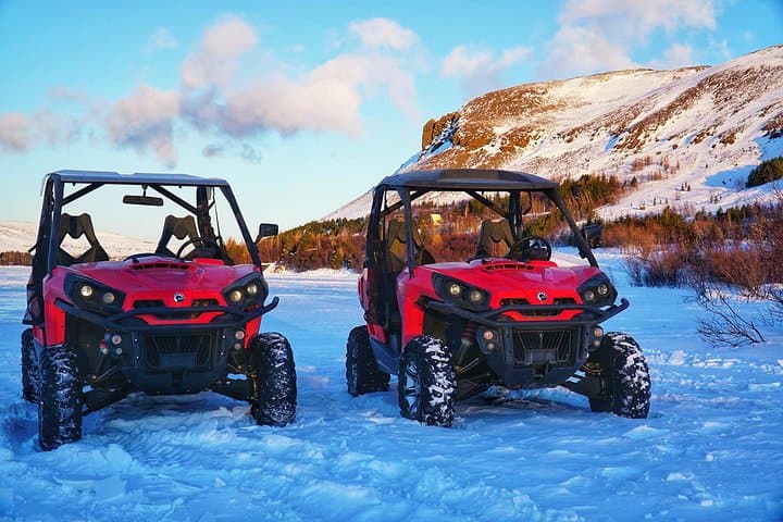 Reykjavik Buggy & Whale Watching Full-Day Adventure