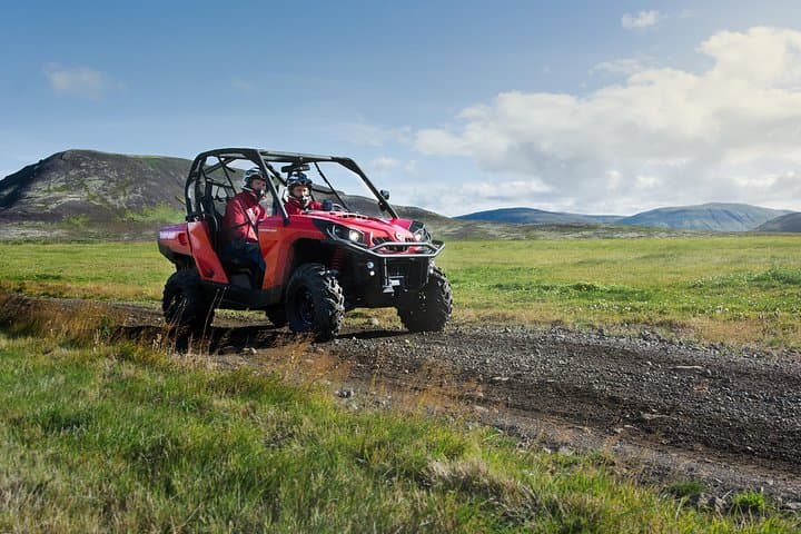 Reykjavik Buggy & Whale Watching Full-Day Adventure
