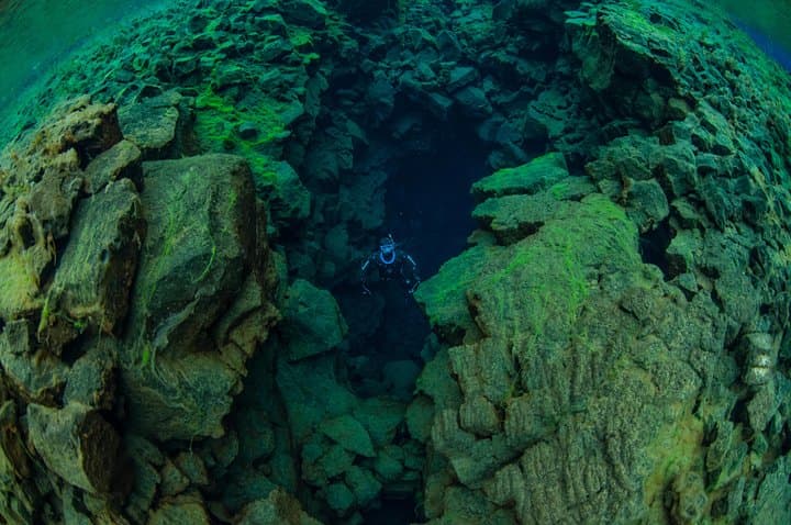Freedive Silfra Half Day Tour