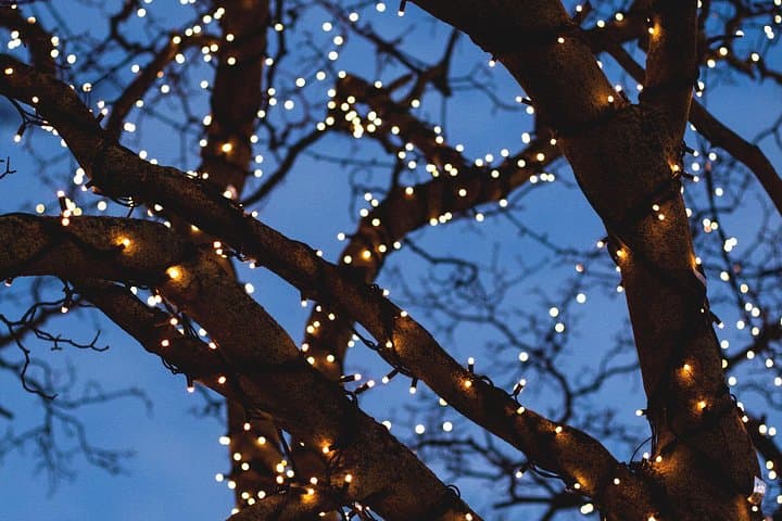 Iceland's Christmas Myths and Traditions - Reykjavík walking tour