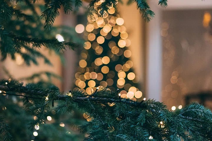 Iceland's Christmas Myths and Traditions - Reykjavík walking tour