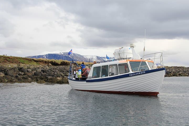 Puffin Express boat, Old Skúli