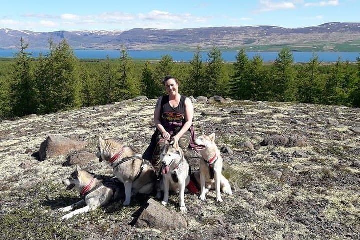 Hiking with Husky in Akureyri (private)