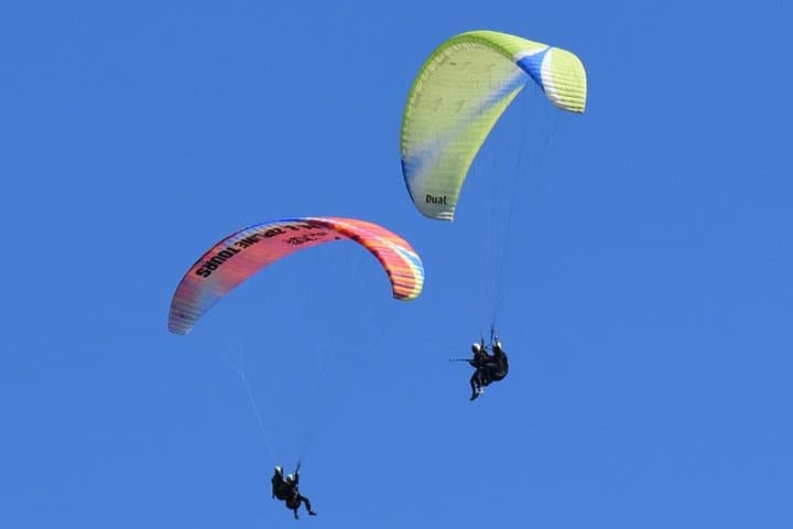 Fun to do with a friend