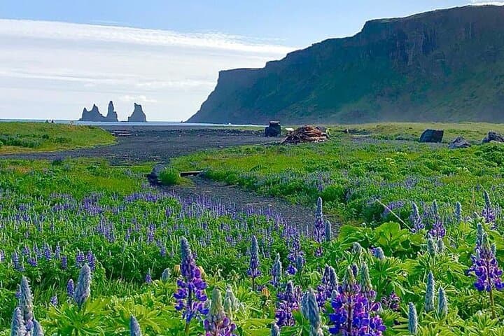 10 Hours Private Luxury Tour of South Coast