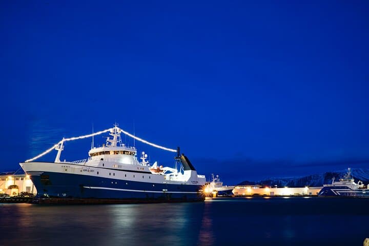 Private Transfer Service from Hotels in Reykjavik to Cruise Ship Terminal
