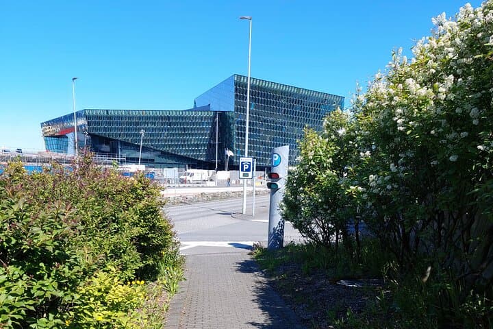 Private Walking Tour with Food in Reykjavik by Otto the Viking