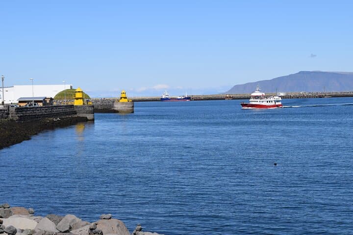 Private Walking Tour with Food in Reykjavik by Otto the Viking