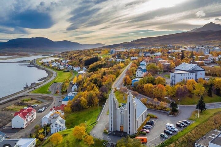 E-Bike Kjarnaskógur and Akureyri City Tour