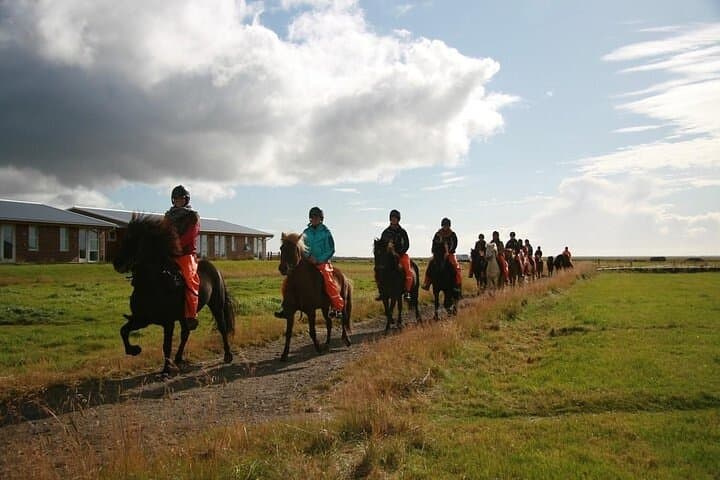 One-Hour Horseback Riding Tour in the Icelandic Countryside