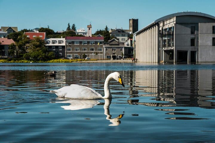 Blue Lagoon & Reykjavík Sightseeing - PRIVATE TOUR