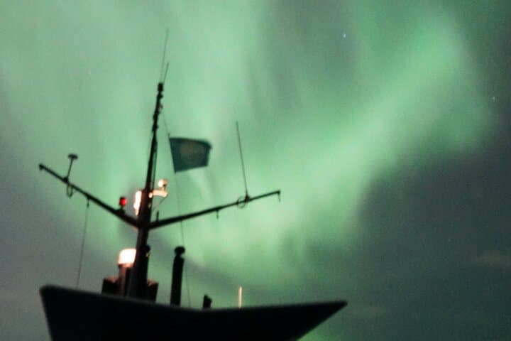 When the sky comes alive… The Northern Lights turn Iceland’s nights into a masterpiece of nature. Don’t just see it — feel it!