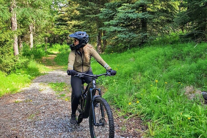 E-Bike Kjarnaskógur and Akureyri City Tour