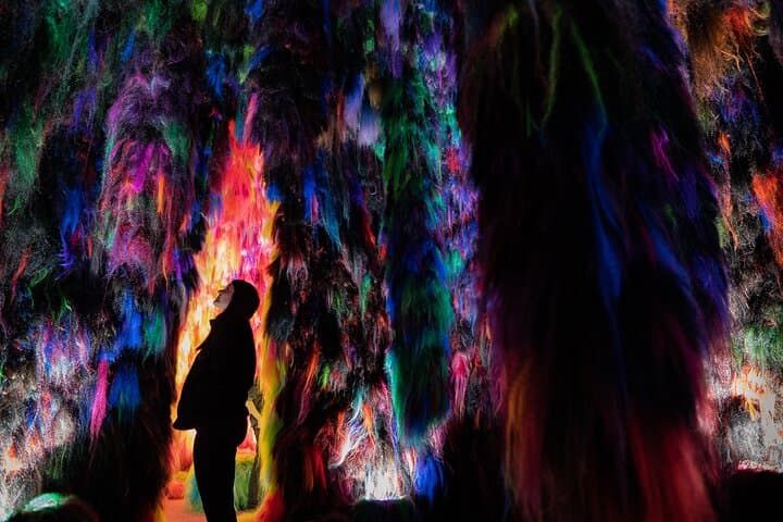 Chromo Sapiens Immerse Yourself in Color Texture and Sound