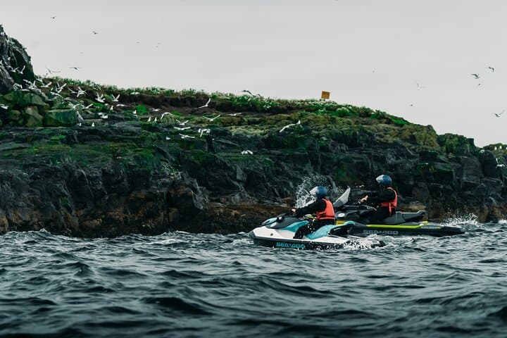 Puffin Jet ski tour in Reykjavík