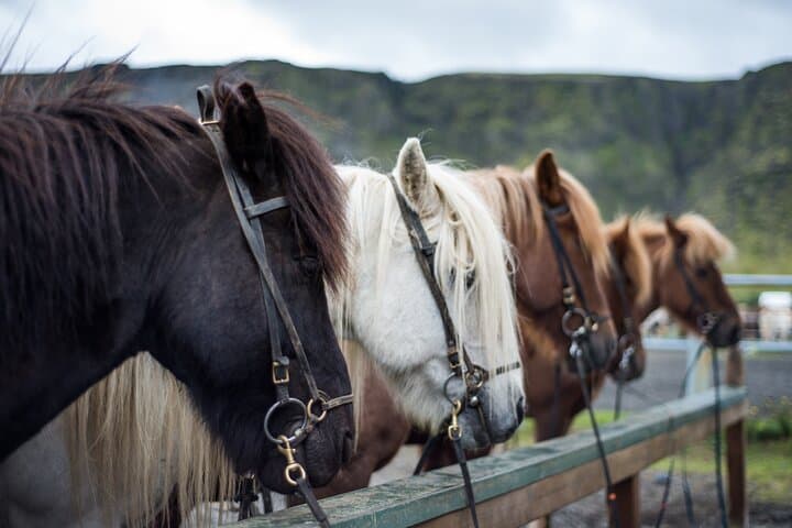 Small Group Ride To The Hotspring Reykjadalur