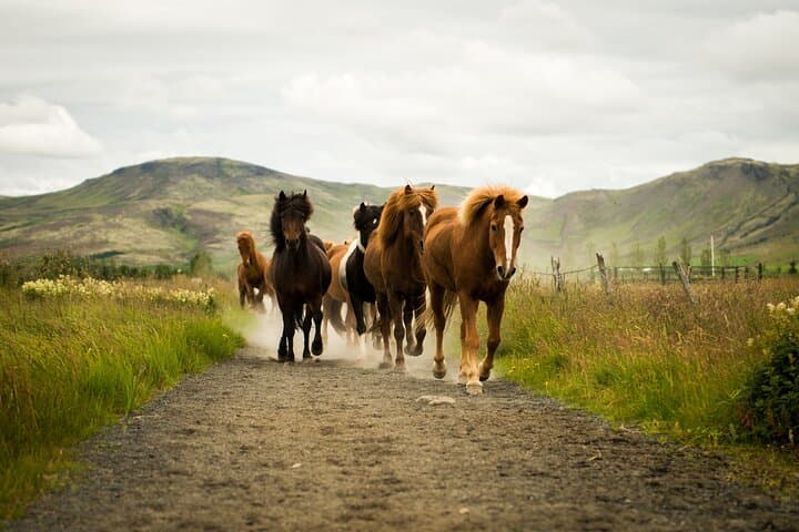 Small Group Ride To The Hotspring Reykjadalur