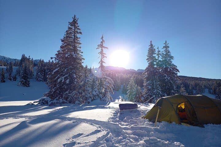 Into the wild