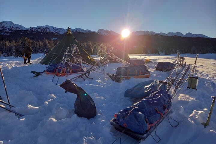 Into the wild
