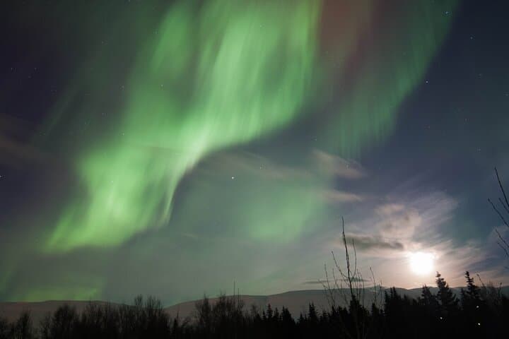 Northern Lights Group Tour from Akureyri