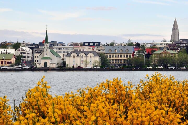 Private Reykjavík City and Reykjanes Day Tour