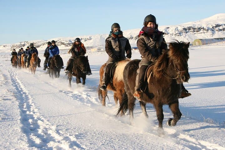 Viking Horse Riding and Golden Circle Tour from Reykjavik
