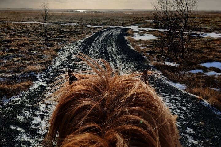 Viking Horse Riding and Golden Circle Tour from Reykjavik