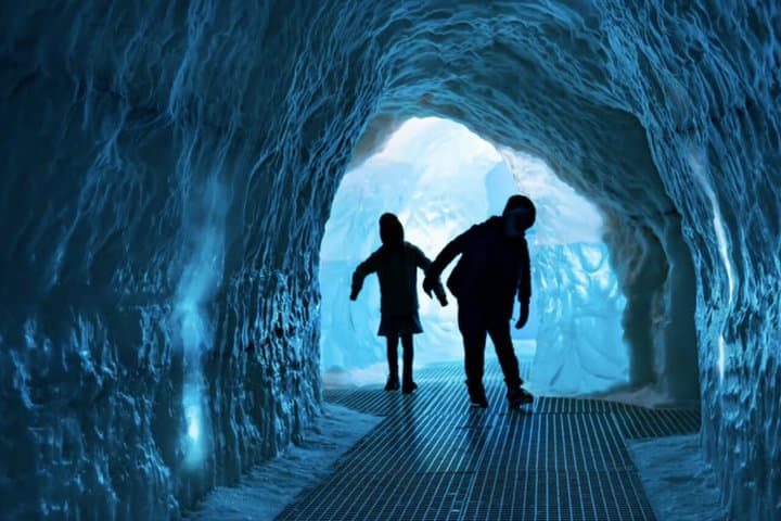 Reykjavik City Private Tour: Perlan, Arbaer & City Landmarks