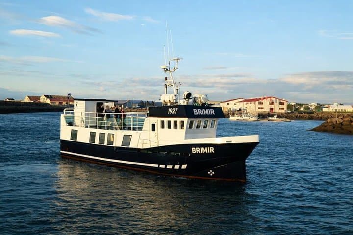 Whale Watching from Akureyri Small Group Boat Tour Hjalteyri