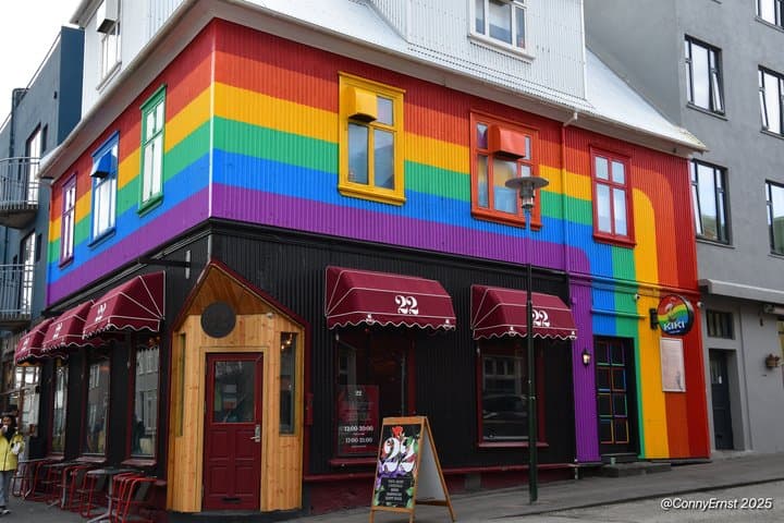 Reykjavik Street Art Backstreets and Stories
