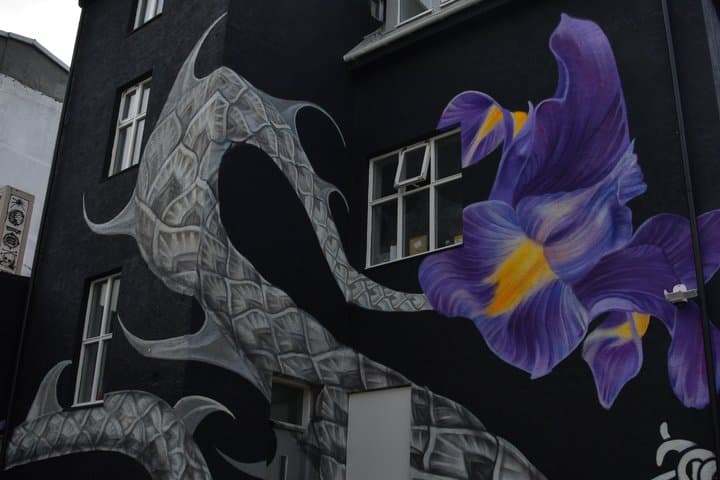 Reykjavik Street Art Backstreets and Stories