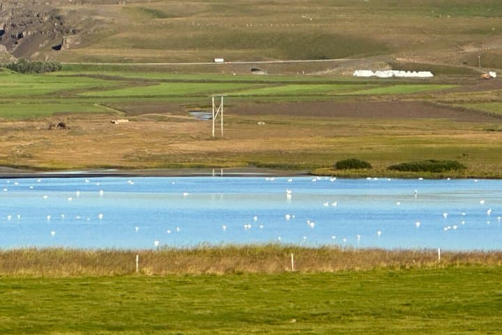 One Time Only Solar Eclipse Private Tour to Ísafjordur Iceland