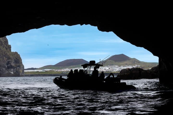 1 Hour RIB Boat Tour