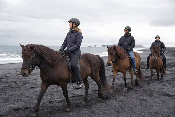 South Iceland Horseback Ride: Black Sand Beach & Glacier Views