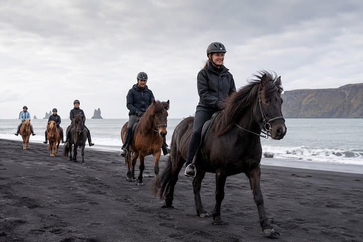 South Iceland Horseback Ride: Black Sand Beach & Glacier Views