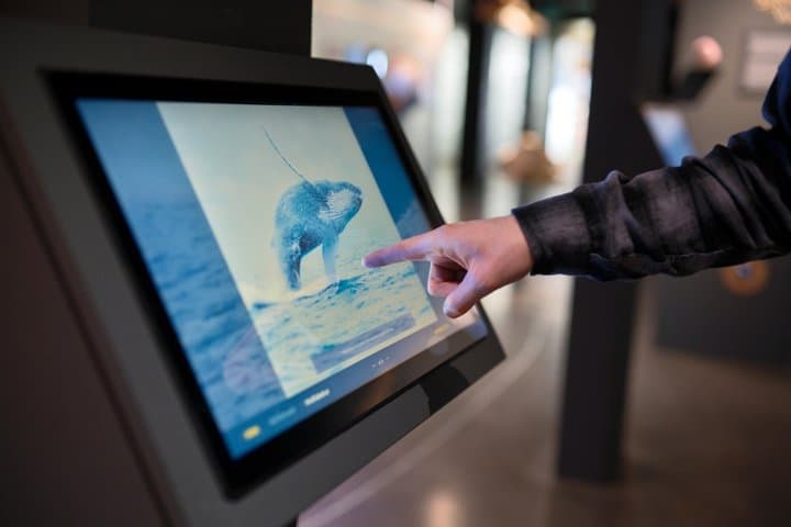 Húsavík Whale Museum Ticket