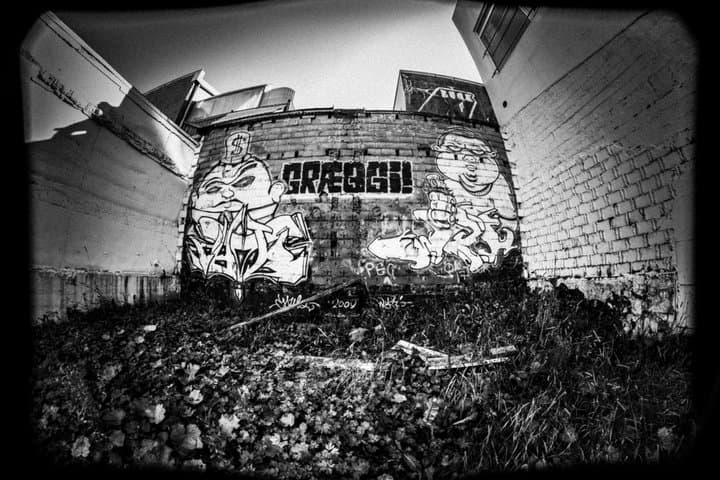 Private Reykjavik Street Art Walking Tour Backstreets and Stories