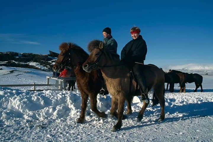 Buggy Safari & Horseback Riding Wild Combo Tour