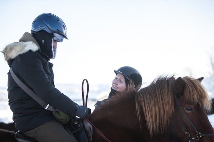 Buggy Safari & Horseback Riding Wild Combo Tour