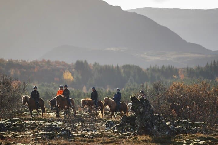Buggy Safari & Horseback Riding Wild Combo Tour