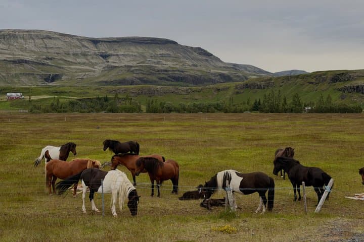 Golden Circle Beyond the Classics