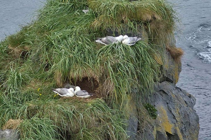 Snæfellsnes Peninsula Private Guided Tour