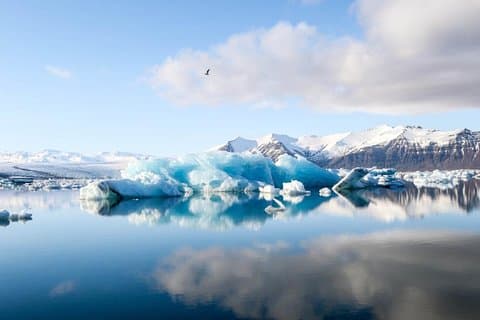 The Glacier Lagoon