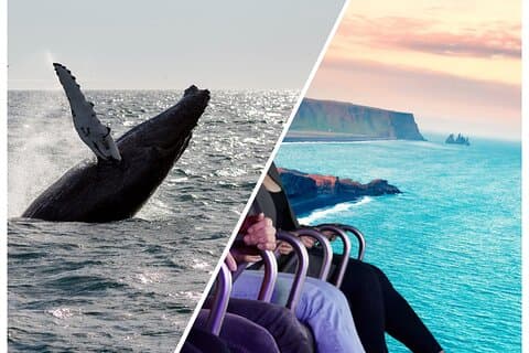 Experience Iceland from sea and sky — spot whales in Faxaflói Bay, then soar over glaciers at FlyOver Iceland.
