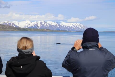 Eyjafjörður