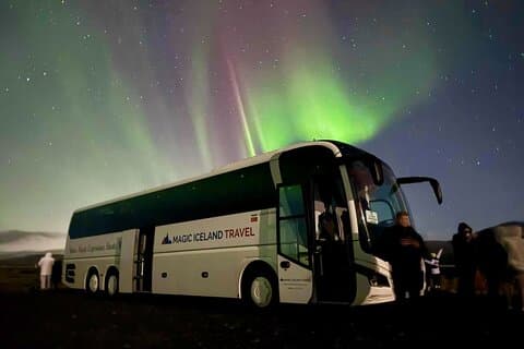 Reykjavik: Northern Lights Coach Tour with Live Forecast